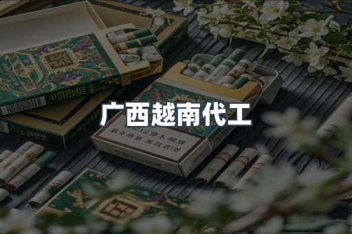 广西越南代工